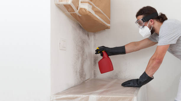 Professional Mold Removal technician working in Lake Hiawatha, NJ